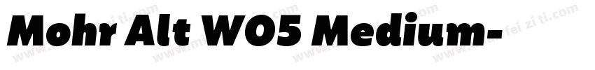 Mohr Alt W05 Medium字体转换
